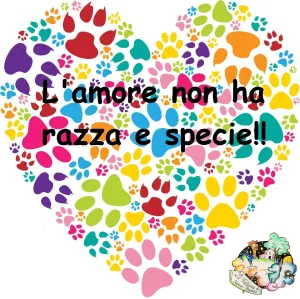 PACCO PENSIERO