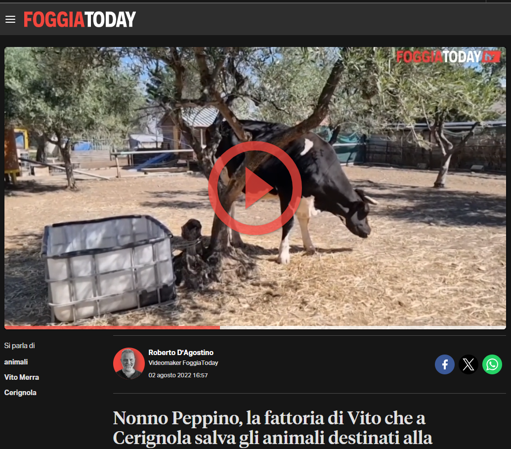 Dicono di noi